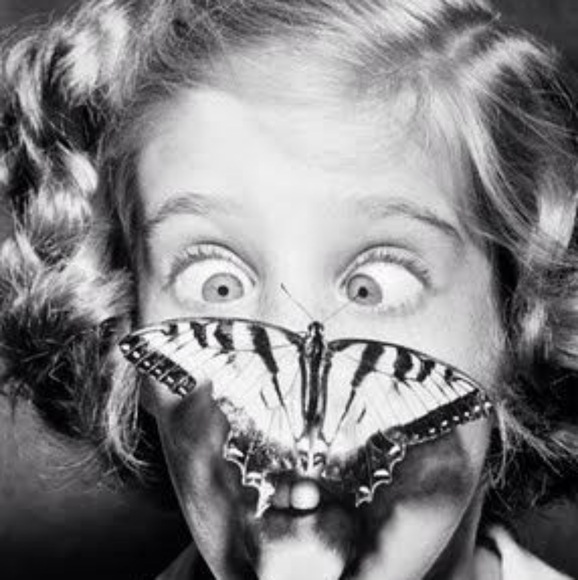 Meet your Posher, Sassy Kat - Picture 4 of 8